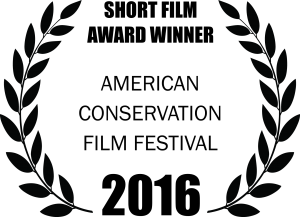 ACFF 2016 Short Film Laurels Large