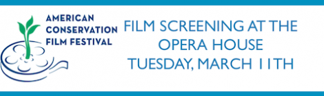 Film Screening: Tuesday, March 11th